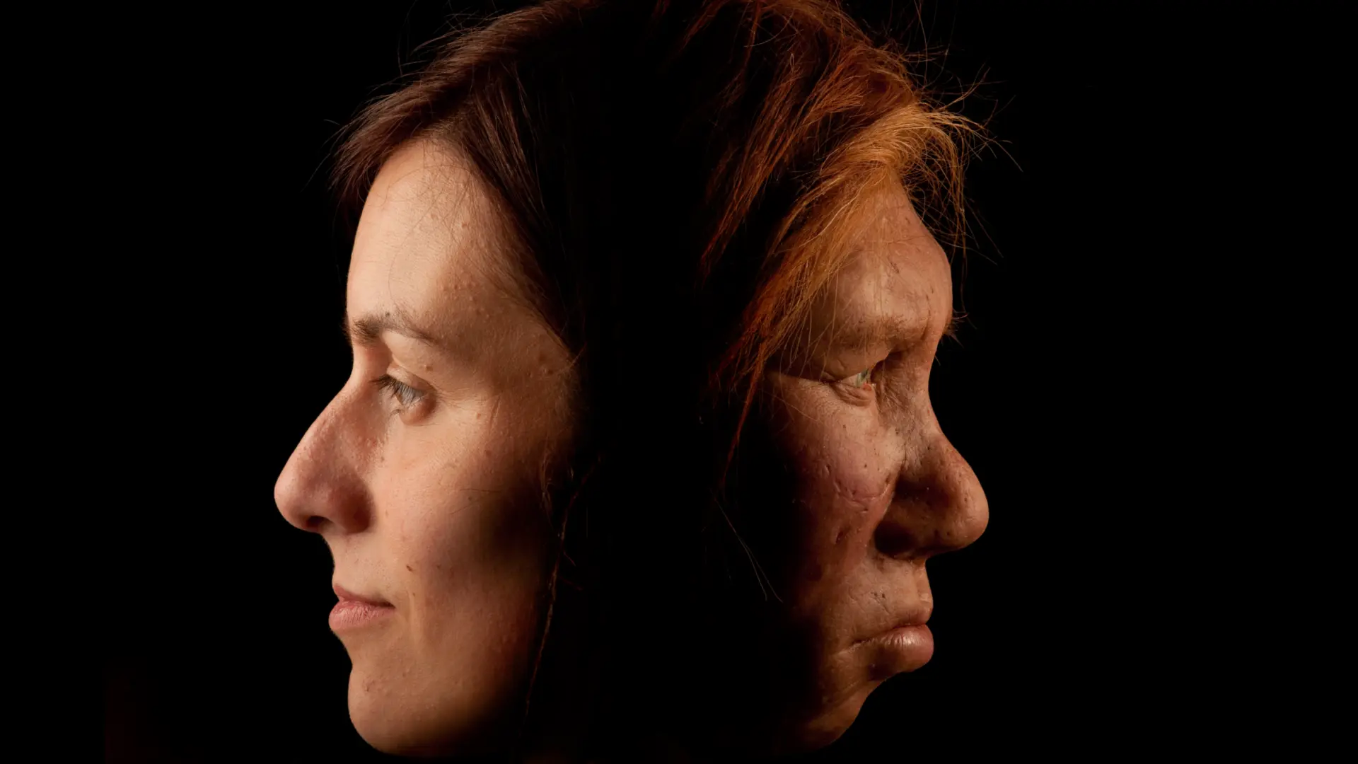 Kızılkan Hücre Farklılıkları Neandertalleri Neden Yok Oldu? Yeni Araştırma Açıklıyor