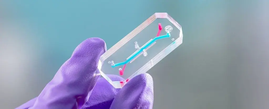 NASA Astronotları Chip'e Yerleştiriyor: Uzay Sağlığı İçin Devrim Niteliğinde Adım!