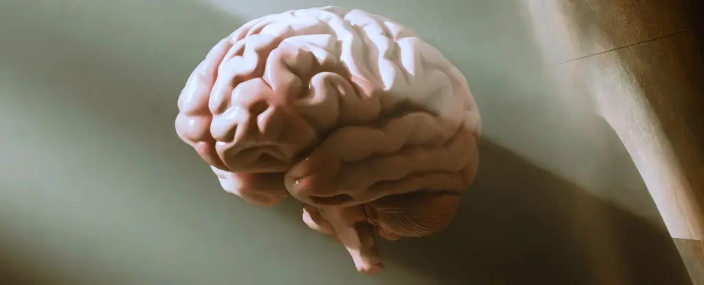 Uykusuzluk Beyninizi Yaşlandırıyor: Bilimsel Araştırma Sonuçları Şaşırttı!