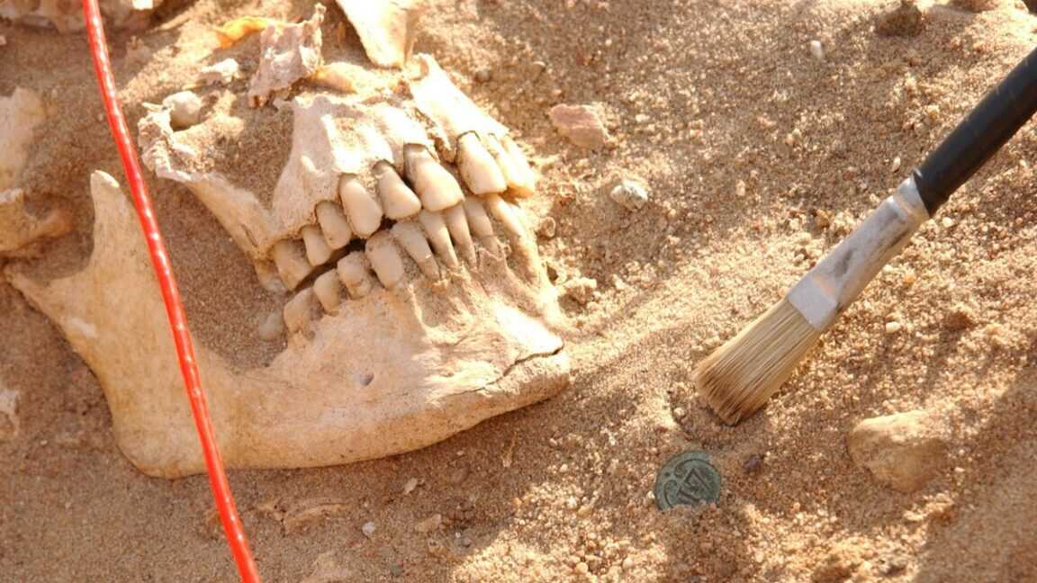Napolyon Ordusu'nun Kurbanı Olan Hastalıklar DNA Analiziyle Ortaya Çıktı