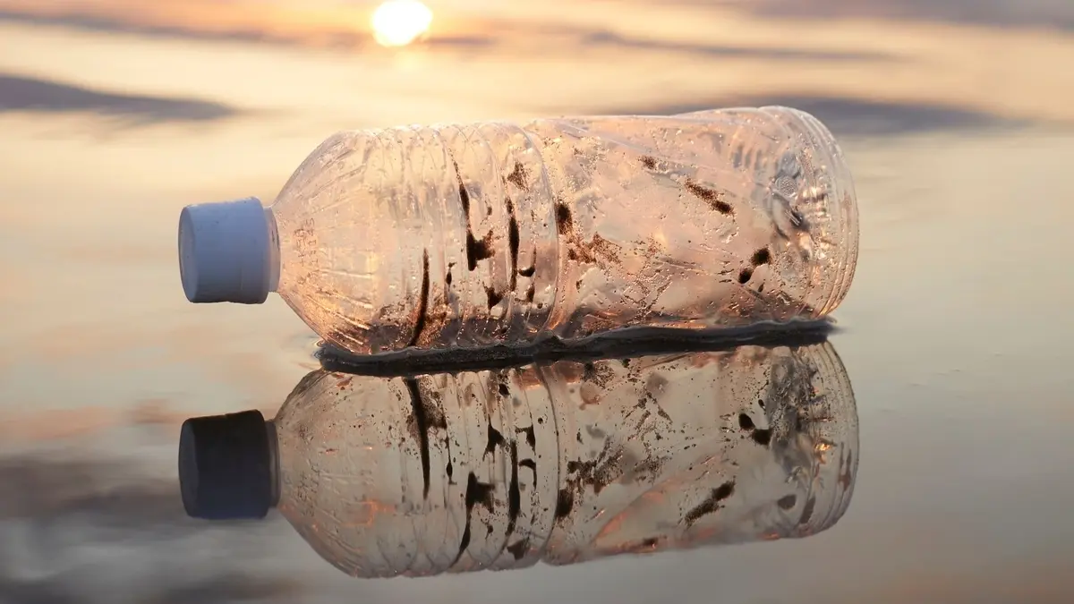 Okyanusların Kayıp Plastikleri Nasıl Kayboluyor? Teknoscope Araştırdı