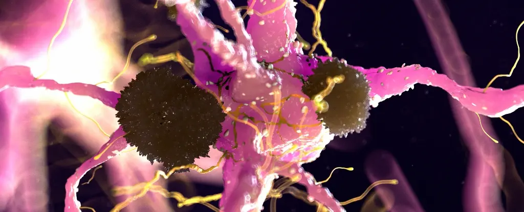 Beyindeki Gizli Sinyal, Alzheimer'ı Yıllar Önceden Tespit Edebilir