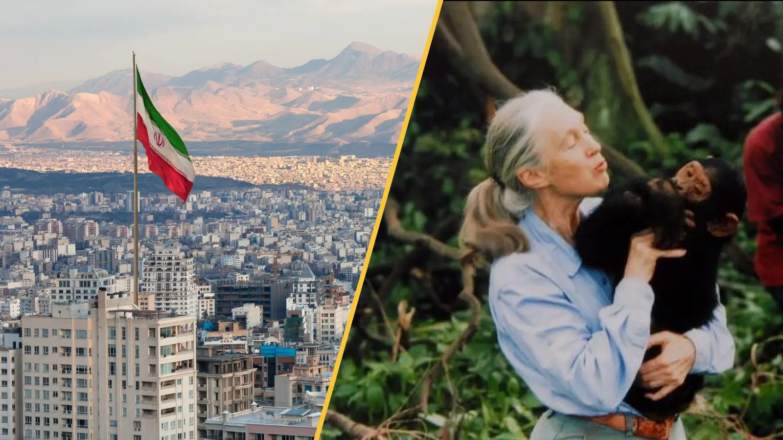 Bilim Dünyasında Haftanın Öne Çıkanları: Jane Goodall'ın Vefatı, Kuraklık Tehlikesi ve Yapay Yumurta Hücreleri