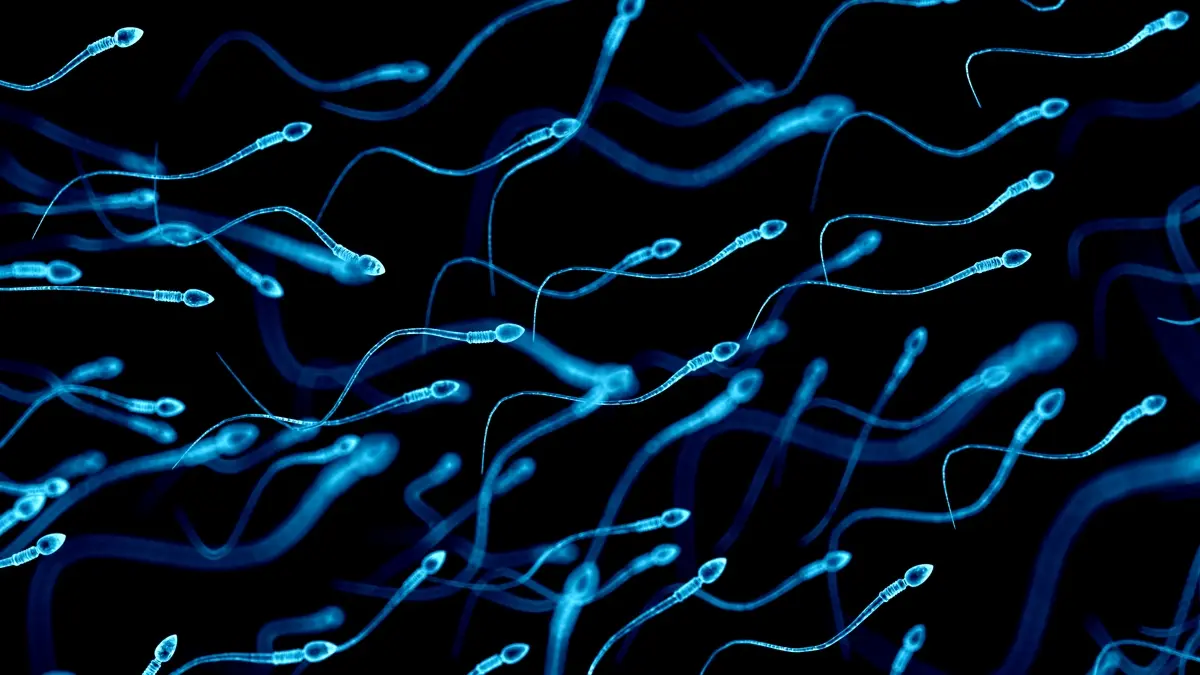 Yaşlanmayla Spermlerde Artan DNA Mutasyonları: Çocuklarda Hastalık Riski Artıyor Mu?