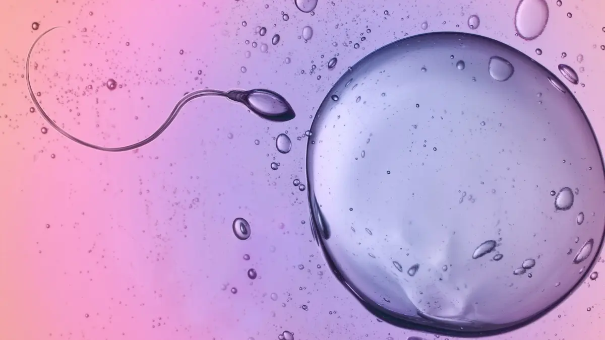 Bilim Dünyası Şaşkın: Sperm Hücreleri, Fizik Yasalarını Çiğniyor Olabilir!