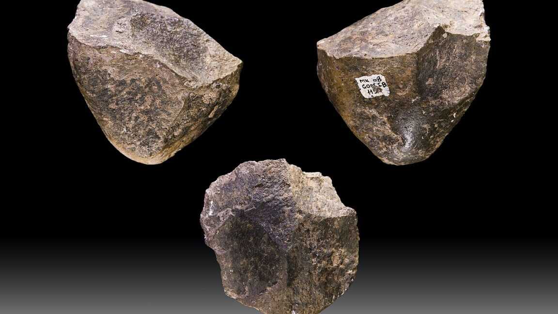 300.000 Yıl Boyunca Değişen Dünyada Aynı Taş Aletleri Kullanan İnsan Türleri: Teknoscope Özel Haberi