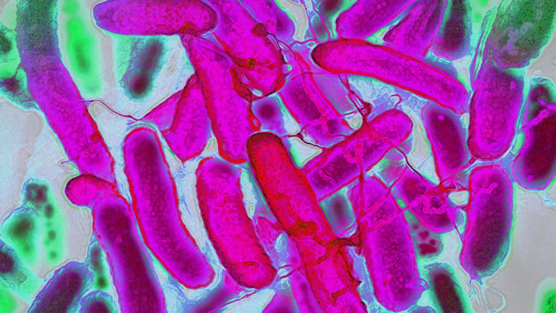 Laboratuvarda E. coli ile Gökkuşağı Renklerinde Kumaş Üretimi Devrimi: Teknoloji ve Sürdürülebilirlik Bir Arada