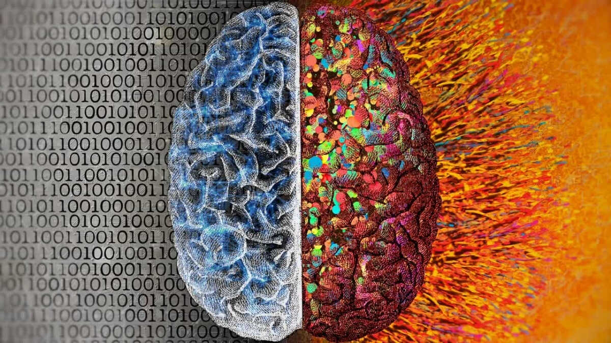 Birden Fazla Dil Bilmek Beyin Yaşlanmasını Yavaşlatabilir mi? Yeni Araştırma Işık Tutuyor