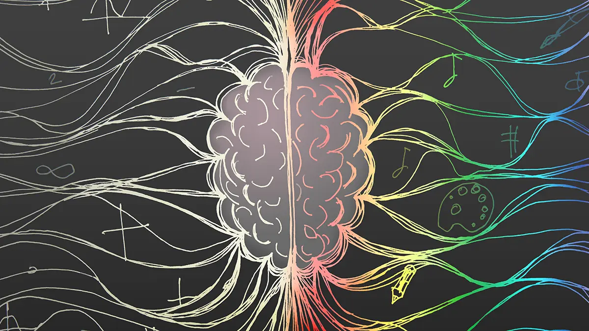 Beyniniz ve Bağırsaklarınız Arasındaki Gizli Ritimler Şaşırtıcı Bir Bağlantıya Sahip