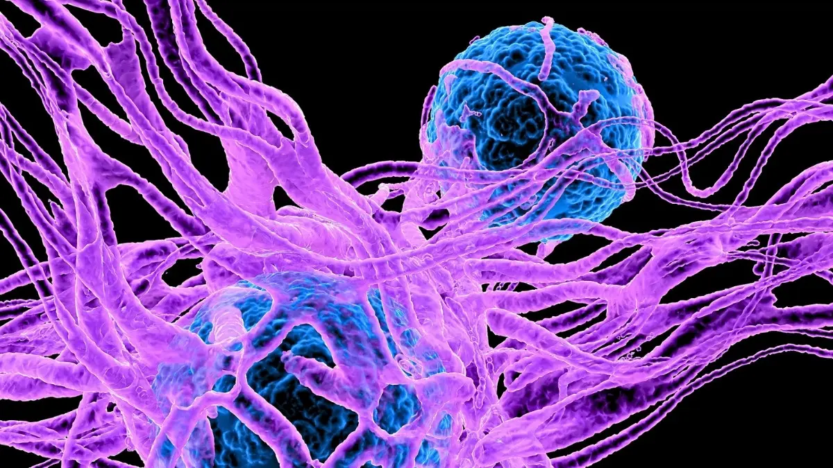 Mutluluk Hormonu Kanserde Rol Mü Oynuyor? Bilim İnsanları Şaşırtıcı Keşifte Bulundu