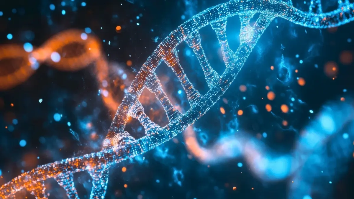 Erkek ve Kadın Beyinlerinde Şaşırtıcı Genetik Farklılıklar Ortaya Çıktı