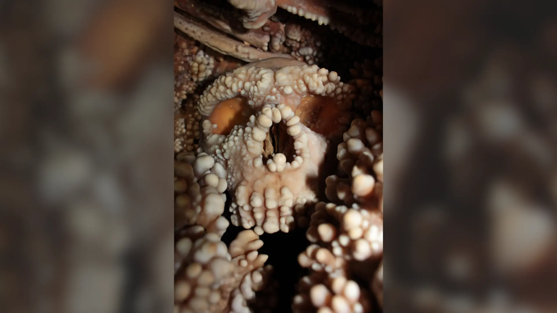 Neandertal Burunları Hava Isıtmak İçin Evrimleşmedi: Yeni Bulgular Eski Teorileri Sarsıyor