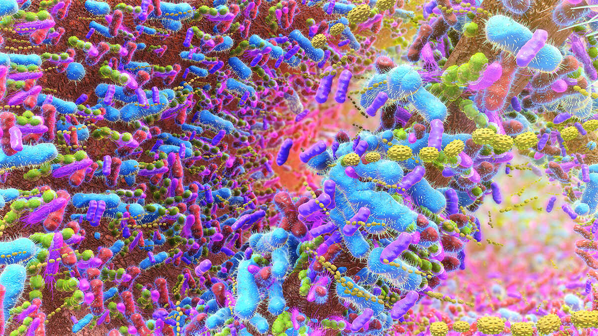 Bağırsaklarınızdaki Metan Üreten Mikroplar Lifleri Gizlice Kaloriye Dönüştürüyor Olabilir!