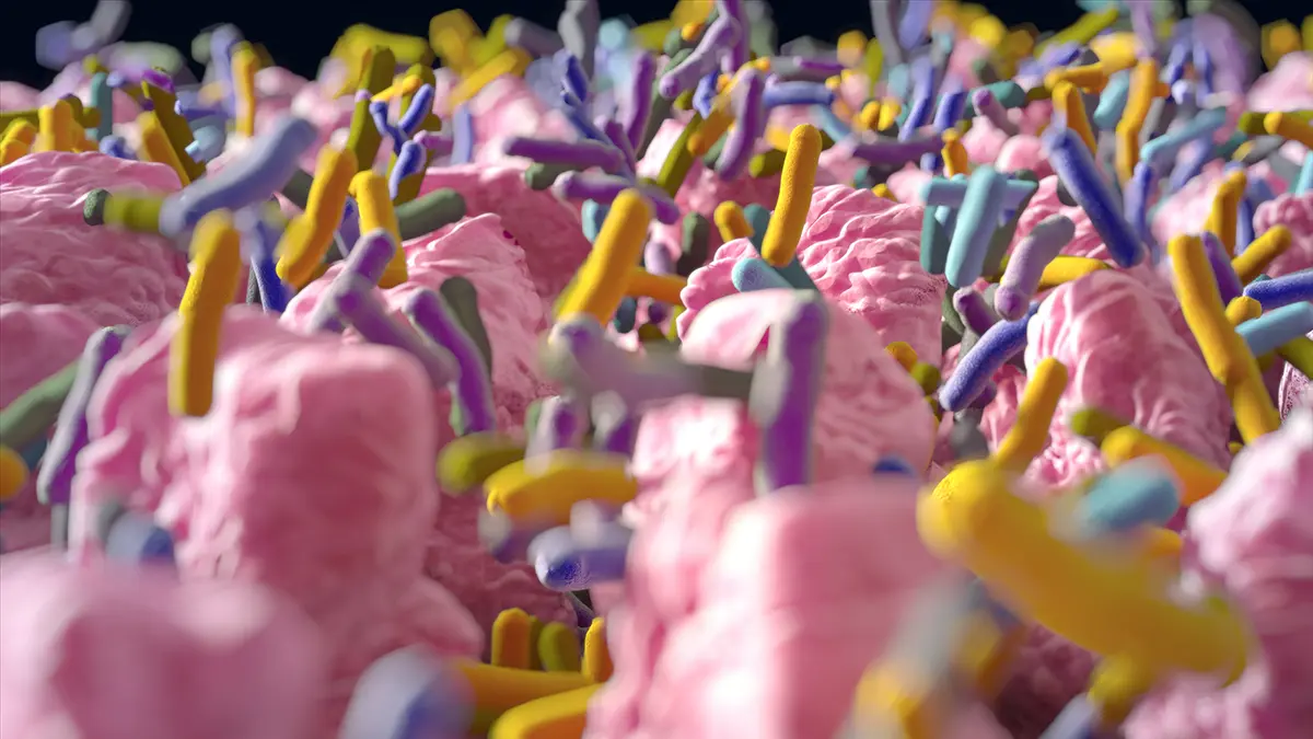 Crohn Hastalığına Neden Olan Genetik Mutasyon Çözüldü: Bağışıklık Hücrelerinin Dengesi Bozuluyor