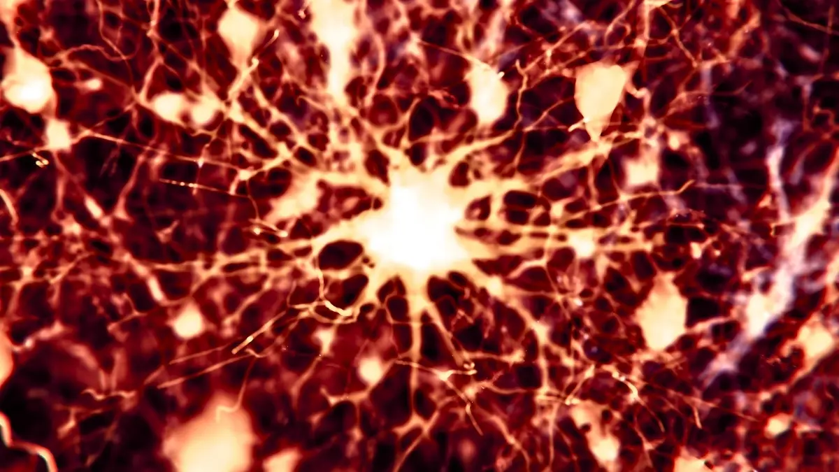 Alzheimer'a Karşı Umut Işığı: İki Kanser İlacı Farelerde Beyin Hasarını Geri Döndürdü