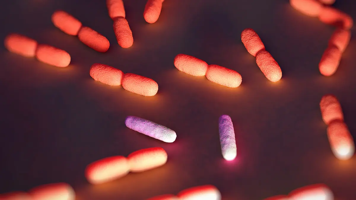 Canlı İlaçlar: Bakteriler Kanseri Yenmek İçin Nasıl Hackediliyor ve Kendini İmha Ediyor?