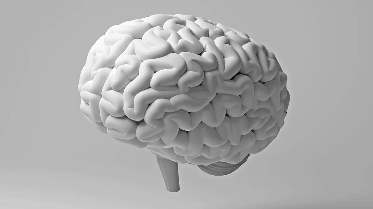 Diş Eti Hastalıkları Beyin Sağlığını Tehdit Ediyor: Yeni Araştırma Beyaz Madde Hasarını Ortaya Koydu