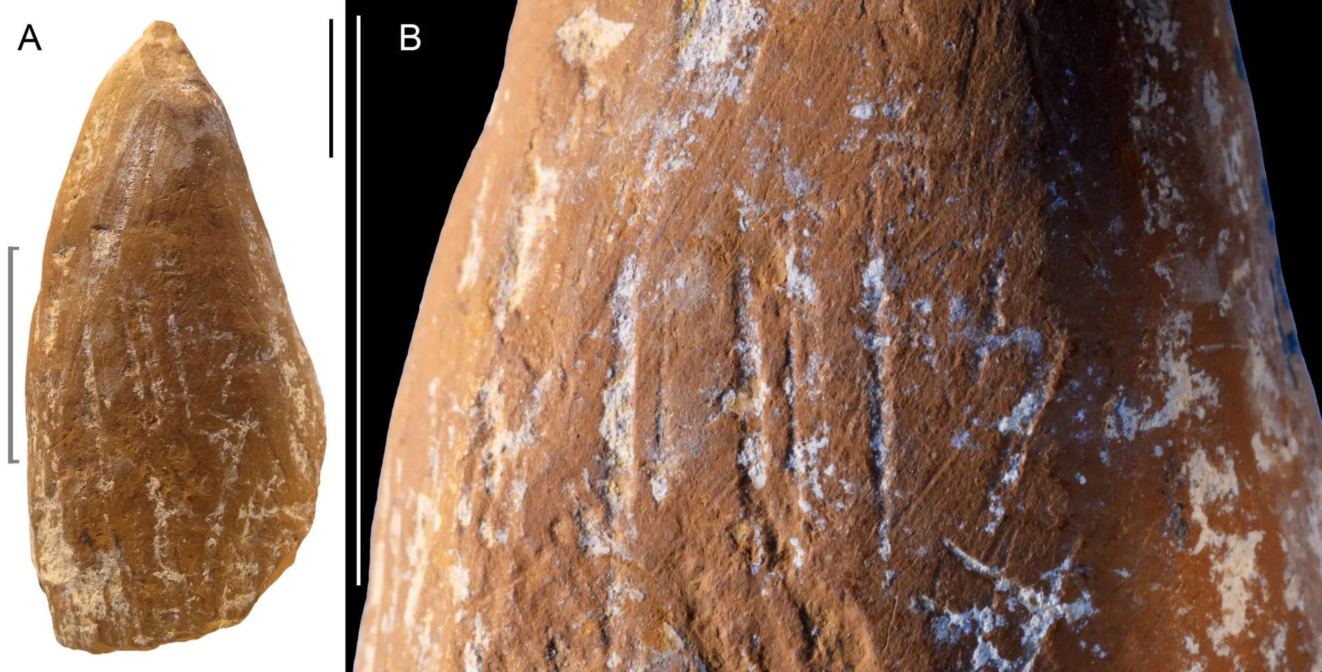 Neandertaller Sanatçı Mıydı? Kırım'da Bulunan 'Boyalar' Yeni Bir Tartışma Başlattı