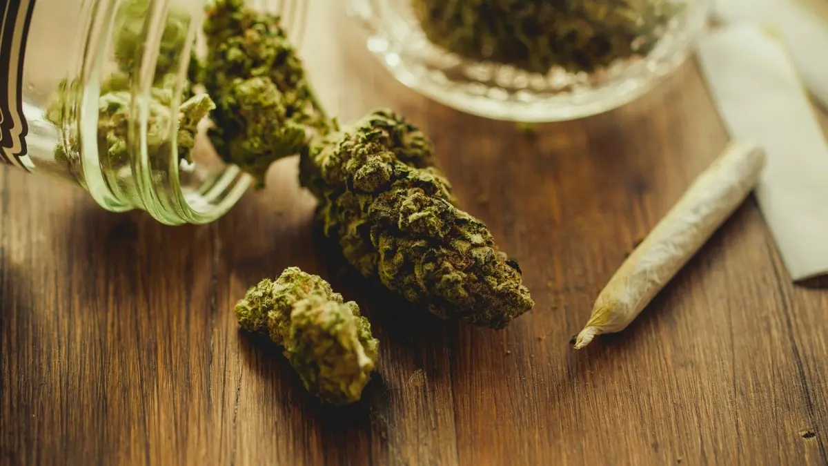 Bilim İnsanları Keşfetti: Kenevir Kullanımı DNA'mızda Kalıcı Değişikliklere Yol Açabilir