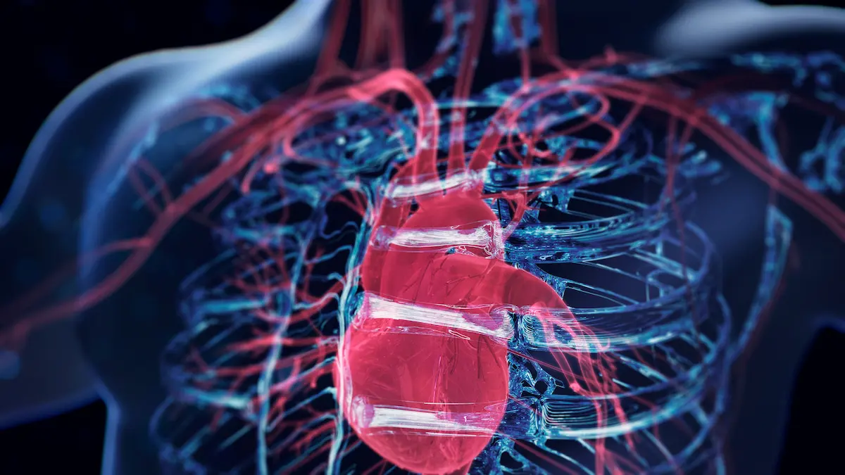 Orta Yaş Kalp Sağlığınız, İlerleyen Yaşlarda Demans Riskinizi Ele Verebilir