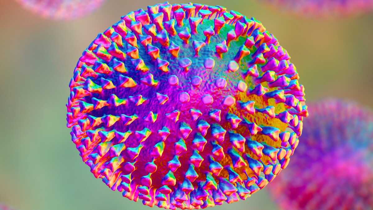 Uzmanlardan Uyarı: Kuş Gribi Tehdidi Göz Ardı Ediliyor!