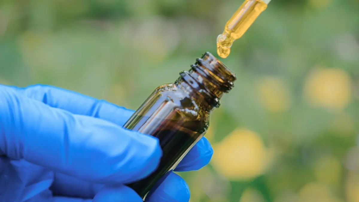 Alzheimer'a Karşı Yeni Umut: Kenevirin Düşük Dozları Bilişsel Gerilemeyi Durdurdu!