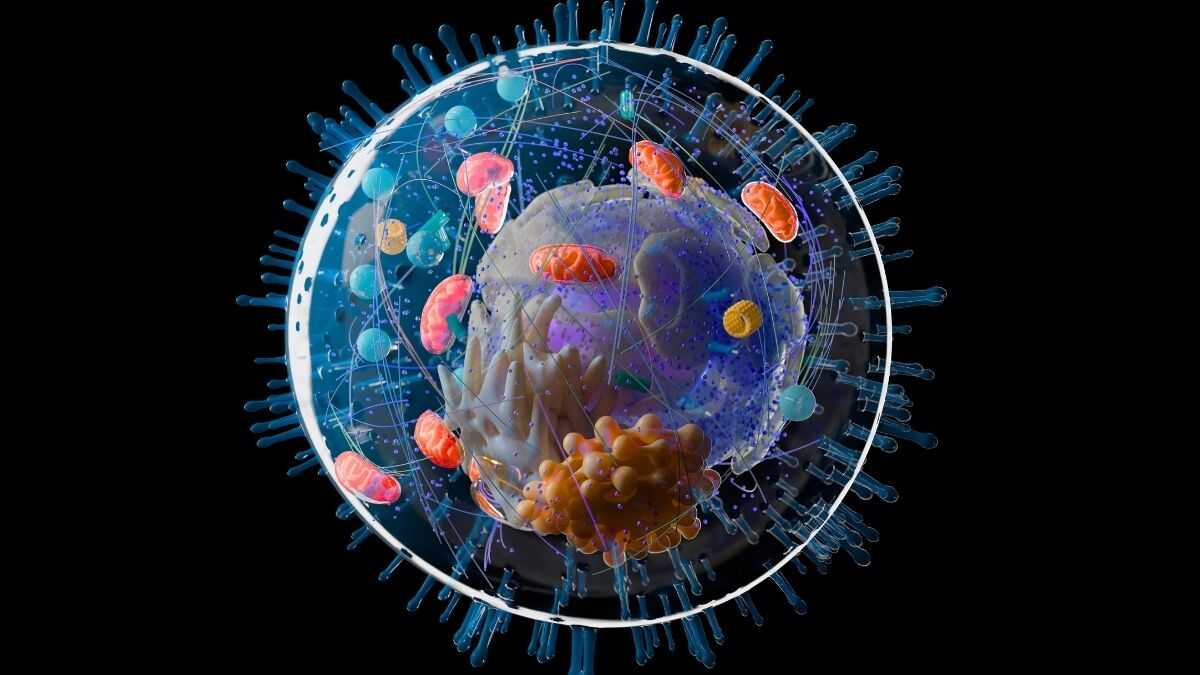 İnsanlığın Kökeni Sanılandan 1 Milyar Yıl Daha Eski Olabilir: Yeni Bilimsel Bulgu Heyecanlandırdı