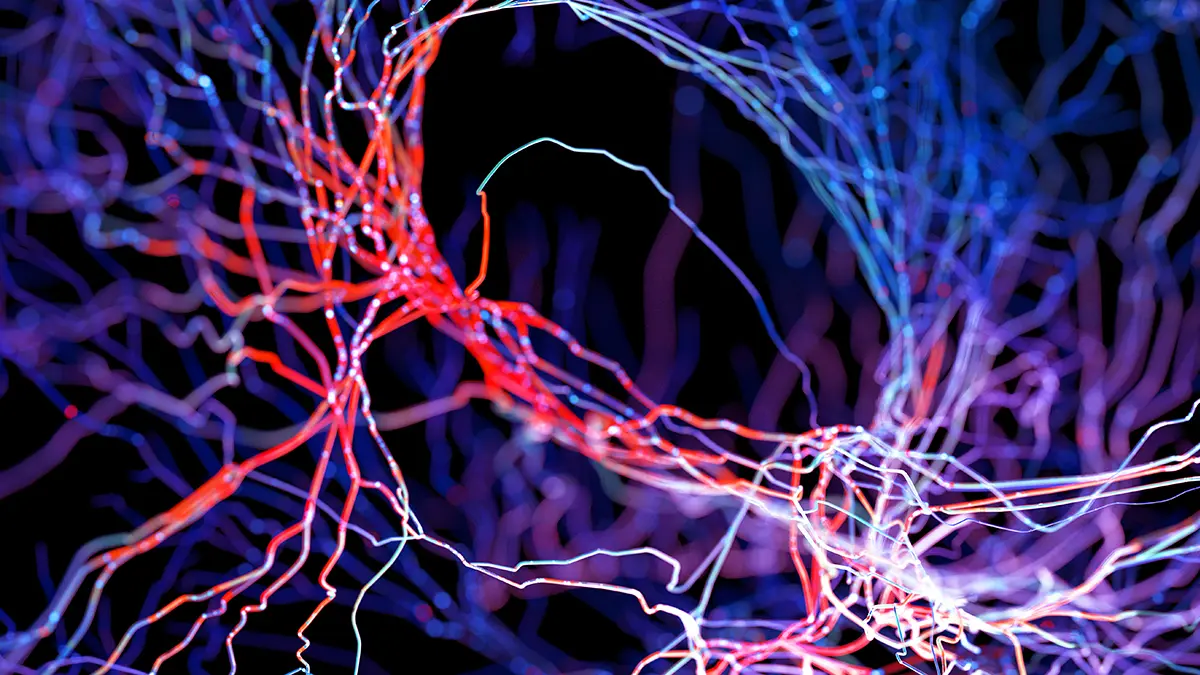 Alzheimer ve Parkinson'a Umut Işığı: Spermine Proteik Birikimleri Temizlemeye Yardımcı Olabilir