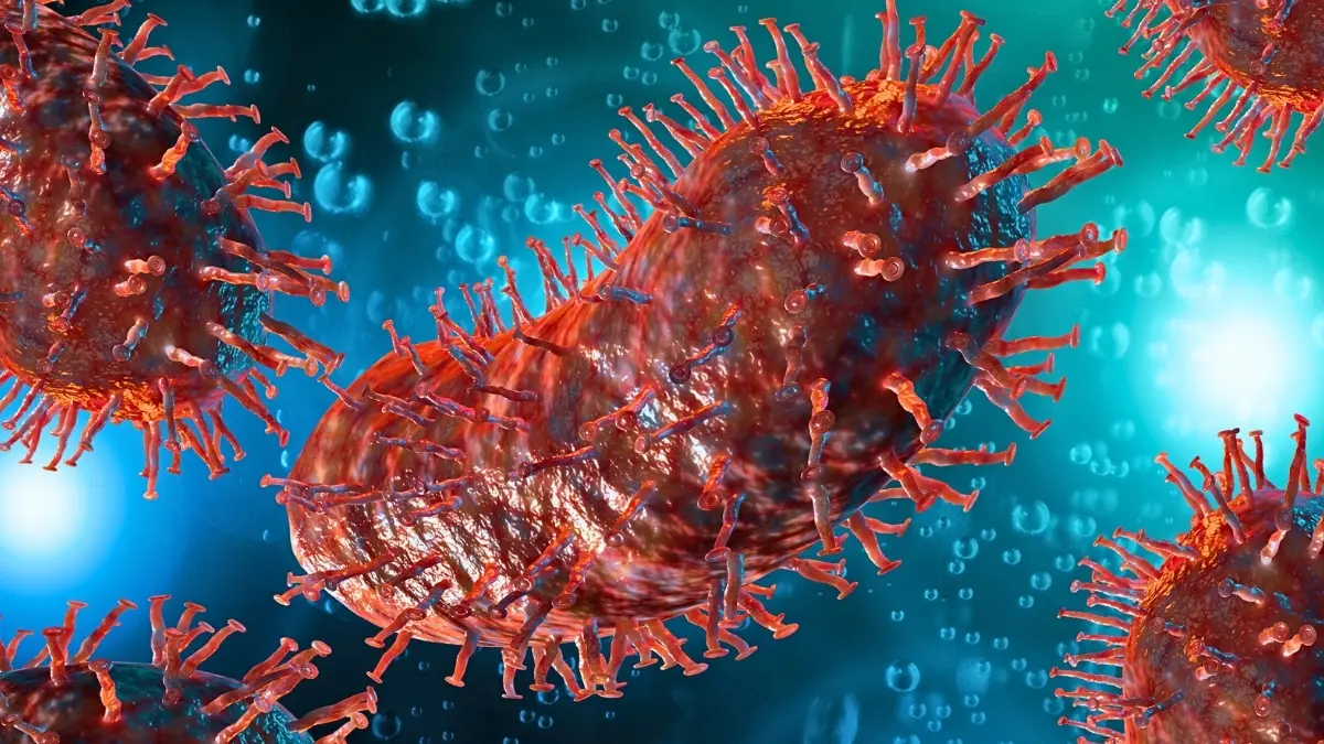 Organ Nakli Sonrası Ölümcül Sürpriz: Kuduz Virüsü Nadir Bir Senaryoyu Tetikledi