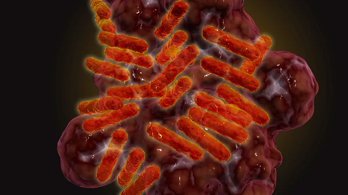 Köpeklerde Yeni Tespit Edilen Kene Hastalığı İnsanlar İçin de Risk Oluşturabilir