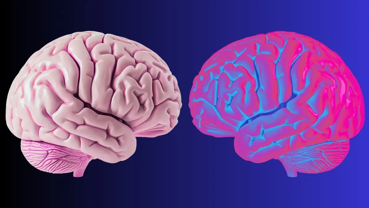 Beynimiz 'Sen'i Nasıl Tanımlıyor? Alfa Dalgaları ve Beden Sahiplenmesi Arasındaki Bağ Keşfedildi!