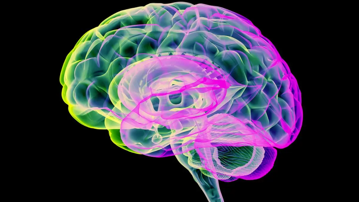 Karbon Dioksit Darbeleriyle Parkinson Hastalarının Beynindeki Toksinler Temizleniyor!