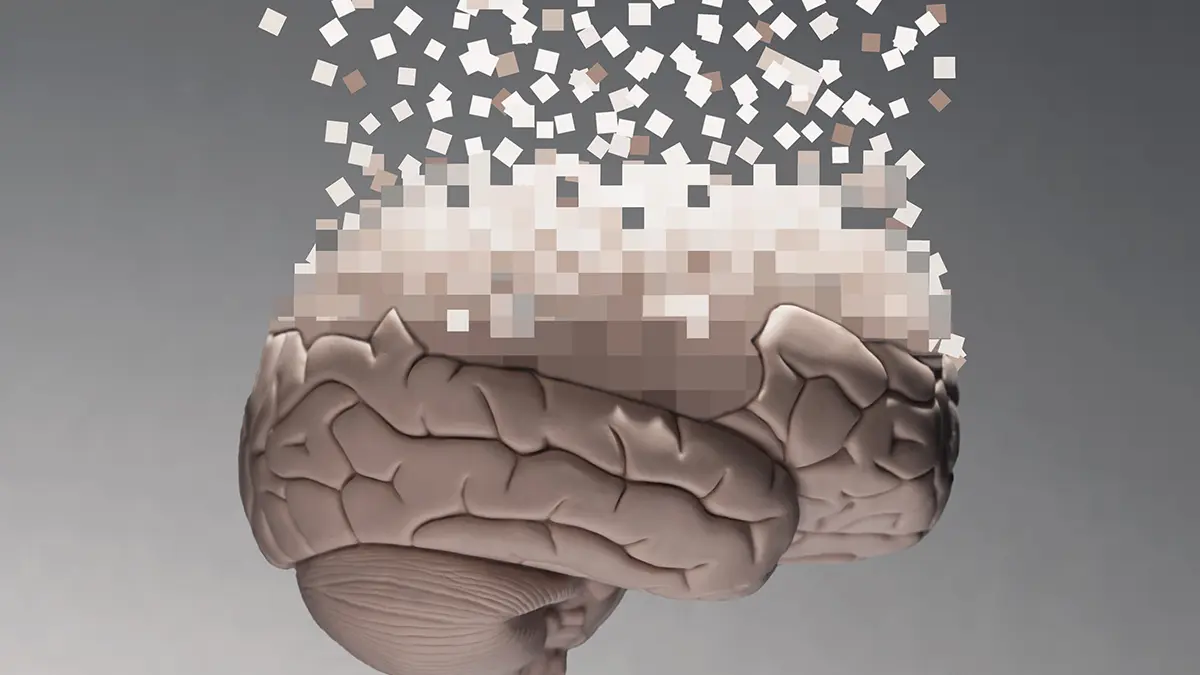 10 Bin Beyin Taramı Ortaya Koydu: Hafızamız Neden Yaşlandıkça Zayıflıyor?