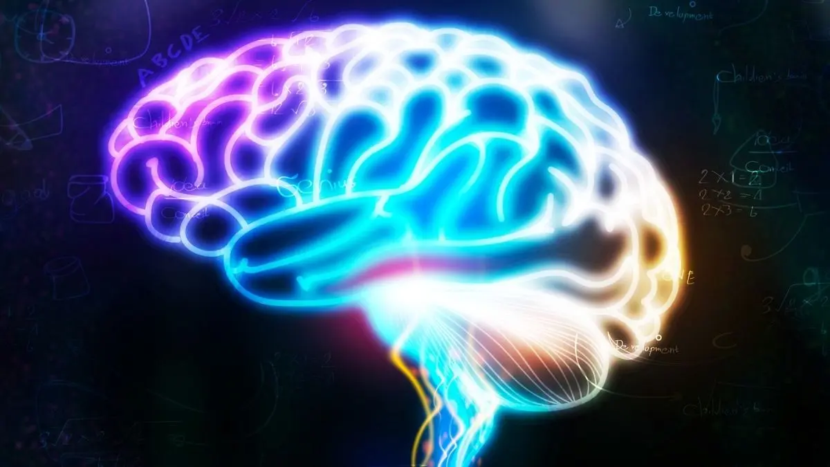 Alzheimer'a Giden Yol Beyin Dalgalarında Gizli: Teşhisten Yıllar Önce Ortaya Çıkabilir!