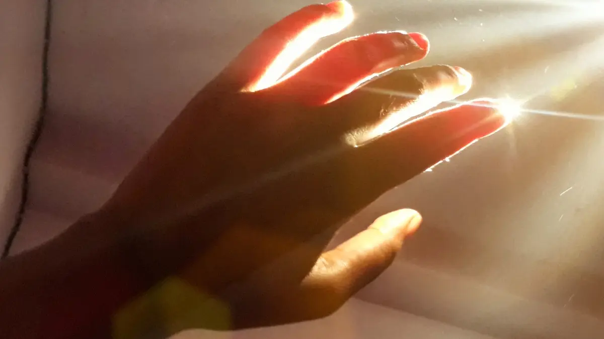 Bilim İnsanları Canlı Varlıkları 'Işıldayan Sağlık' Mı Tüketiyor? Şaşırtıcı Bulgular Ortaya Çıktı!