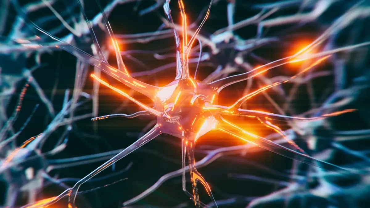 Bilim İnsanları Demansla Savaşan Hücrelerin Sırrını Çözdü: 'Hücresel Kriz Ekibi' Ortaya Çıktı!