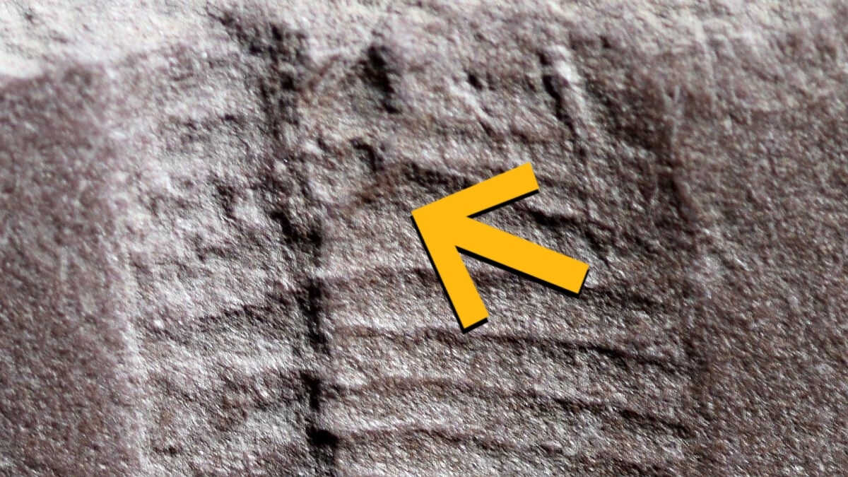 Bilimin Haftalık Gündemi: Yeşil Buzul Hareketleri, 'Breaking Bad' Etkisi ve En Eski Dışkı Kalıntısı!