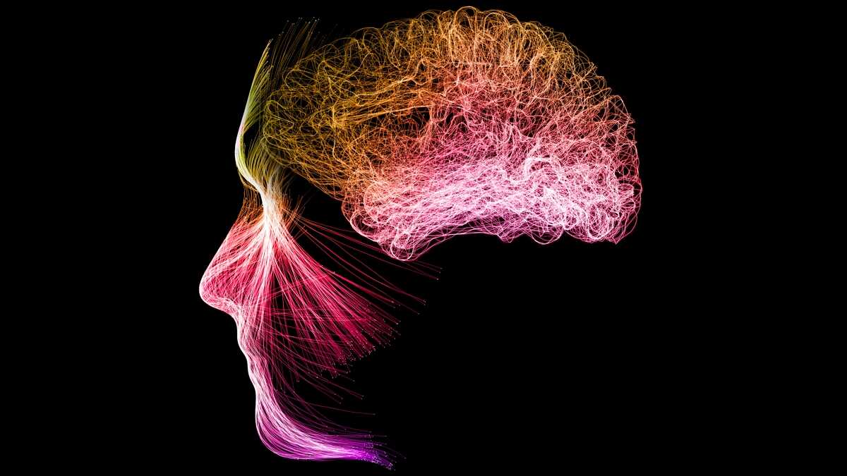 Meditasyon Beyin Aktivitesini Yeniden Şekillendirebilir: Yeni Araştırma Ortaya Koydu