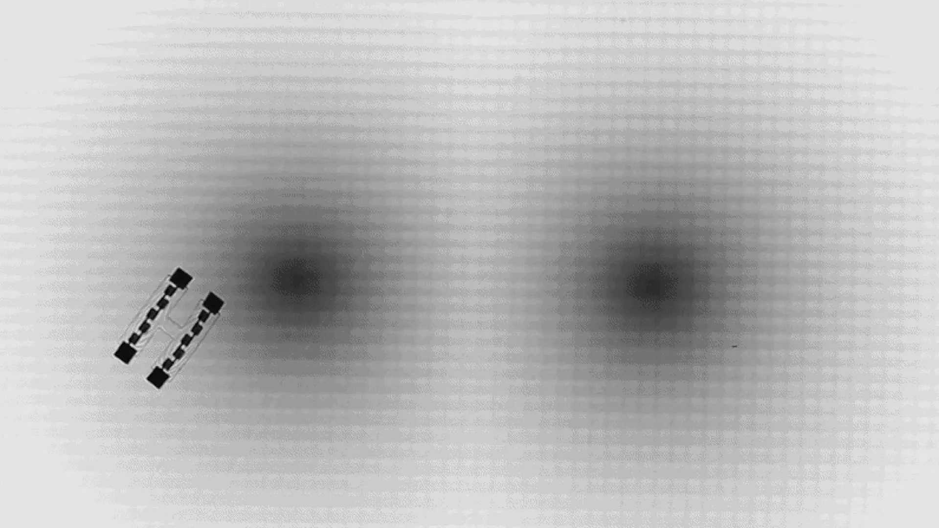 Einstein'ın Görelilik Teorisiyle Yönlendirilen Mikroskobik Yüzücüler: Bilim ve Teknolojide Yeni Bir Dönem Başlıyor