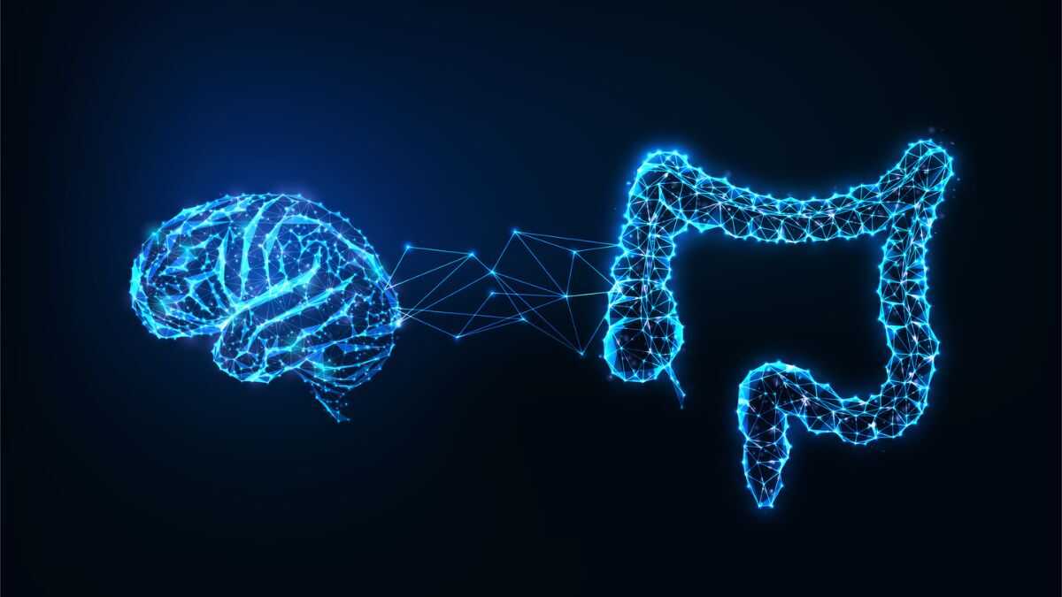 Bağırsaklar Beyni Koruyabilir mi? Bilişsel Gerilemeye Karşı Yeni Bir Cephe Açılıyor!