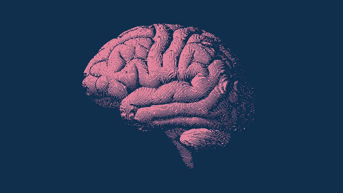 MIND Diyeti: Beyin Yaşlanmasını 2.5 Yıl Yavaşlatma Potansiyeli Taşıyan Beslenme Rehberi