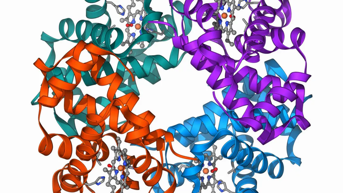 Gen Düzenleme Teknolojisi Beta-Talasemi Tedavisinde Umut Veren Sonuçlar Sundu