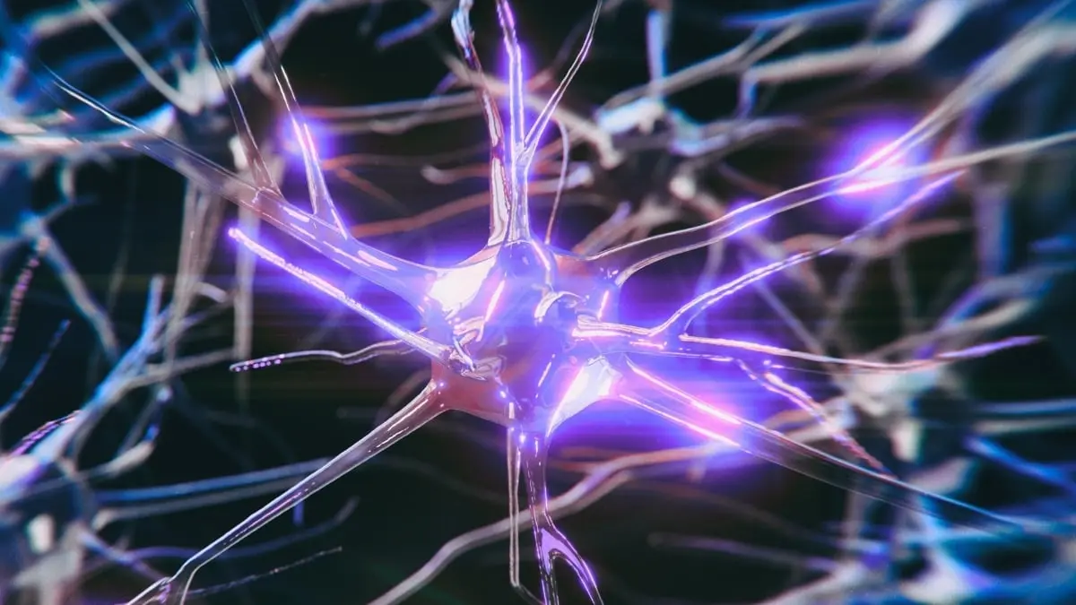 Alzheimer Riski Taşıyan Gen, Beyin Aktivitesini Erken Değiştiriyor: Peki Bu Durum Düzelebiliyor mu?