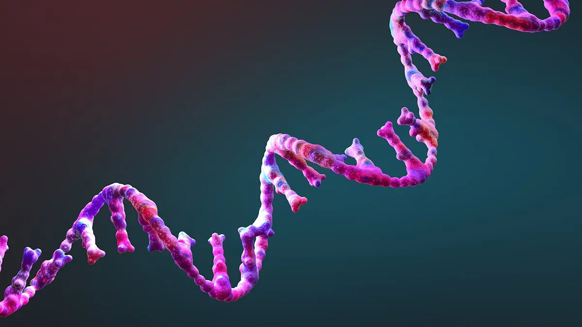 Hayatın Kökenini Aydınlatan Keşif: Kendi Kendini Kopyalamaya Yakın RNA Molekülü Bulundu!