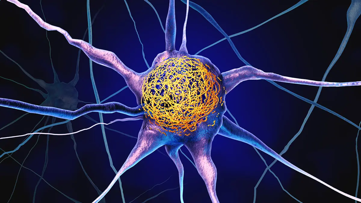 C Vitamini Alzheimer Protein Birikimini Azaltabilir mi? Yeni Bir Çalışma Umut Veriyor
