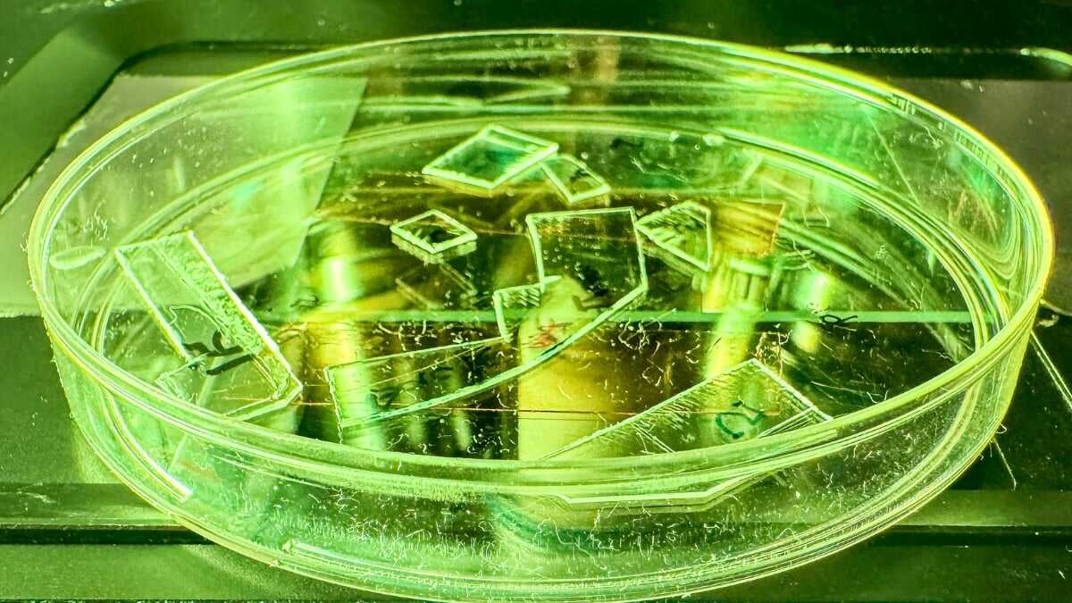 Virüsleri Parçalayan İnanılmaz Film: Teknoloji Salgınlara Karşı Yeni Bir Kalkan Kazandı!