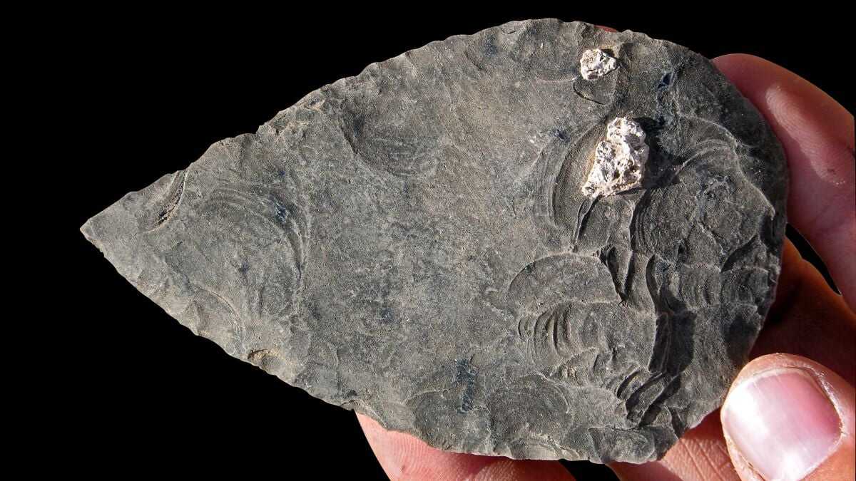 100.000 Yıl Önce Yaşayan İnsanların Ayak İzleri Etiyopya'da Ortaya Çıktı: Taş Devri'nin Gizemleri Çözülüyor