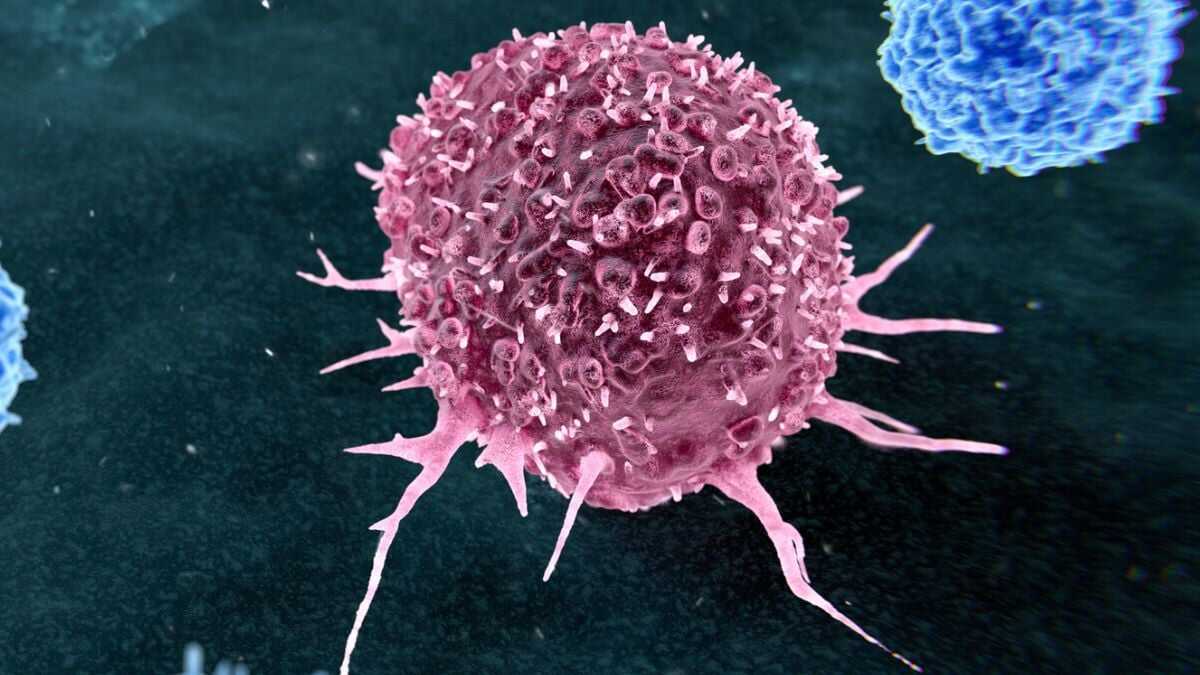 Kanserin %50'si Önleyici Davranışlarla Engellenebilir: Bilim Dünyasından Çarpıcı Analiz
