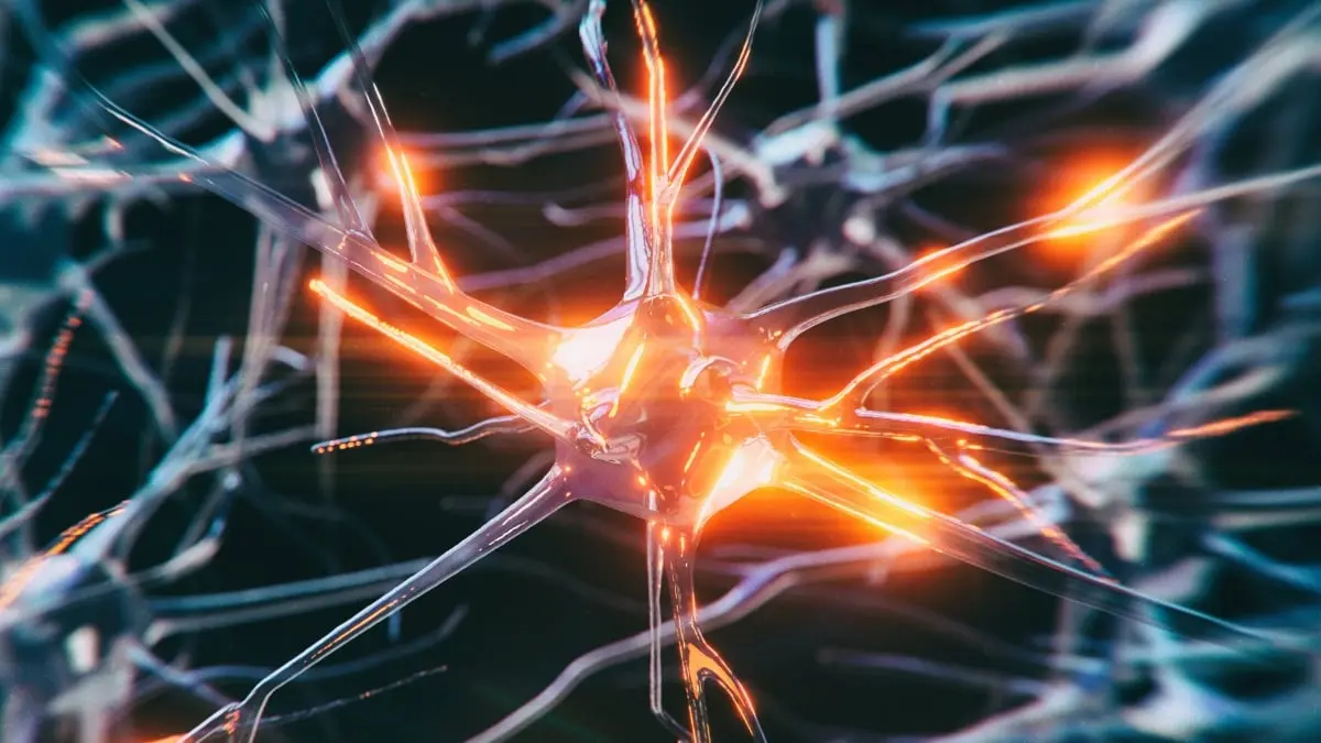 Tarihin En Genç Alzheimer Hastası: 19 Yaşında Beyin Hücreleri Küçülüyor!