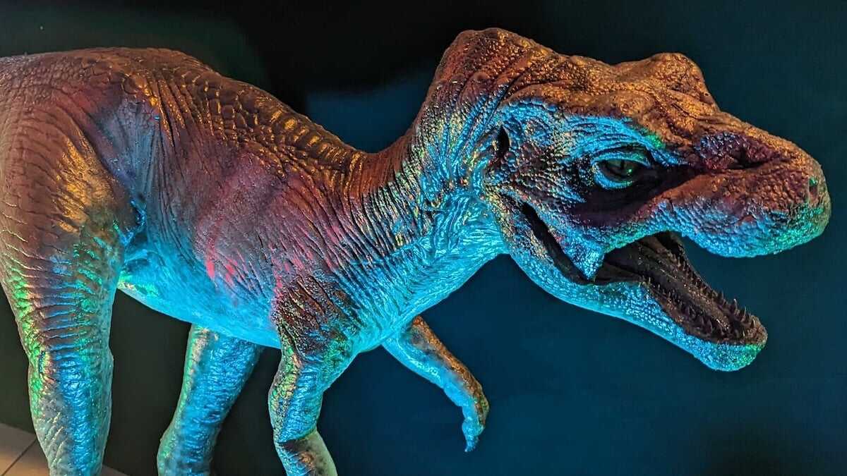 T. Rex Yavruları Kedi Boyunda ve Onlarca Olarak Doğuyordu: Bilim İnsanları Dinozor Çocukluğu Hakkındaki Bilgimizi Güncelliyor